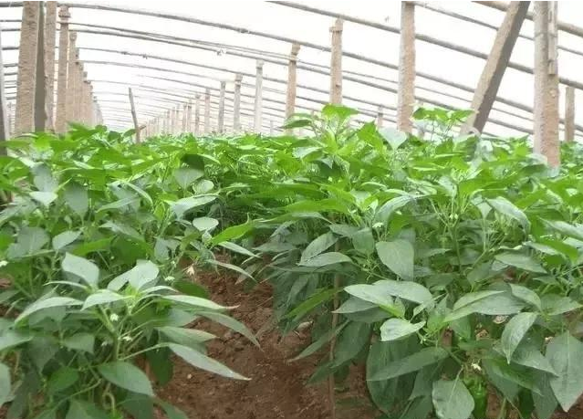 ETS(天津)生物科技發(fā)展有限公司